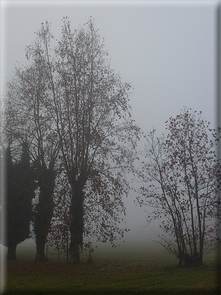 foto Pedemontana Veneta nella nebbia